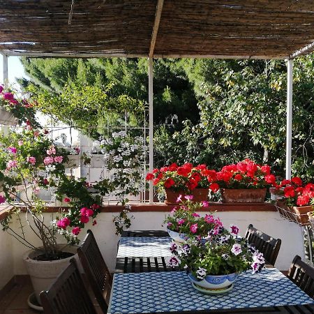 La Stanza Di Angi A Mondello Hotel Палермо Екстериор снимка