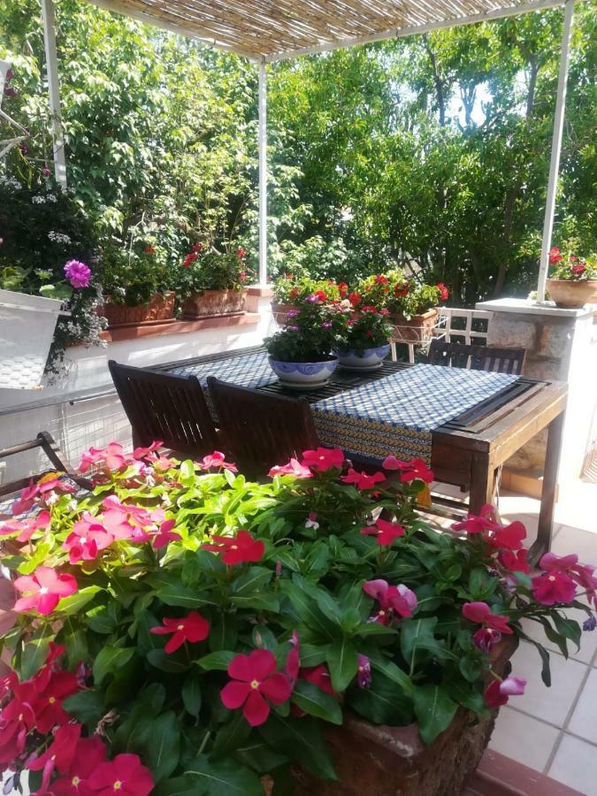 La Stanza Di Angi A Mondello Hotel Палермо Екстериор снимка