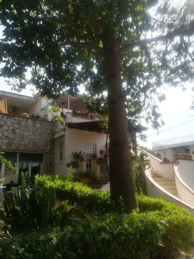 La Stanza Di Angi A Mondello Hotel Палермо Екстериор снимка