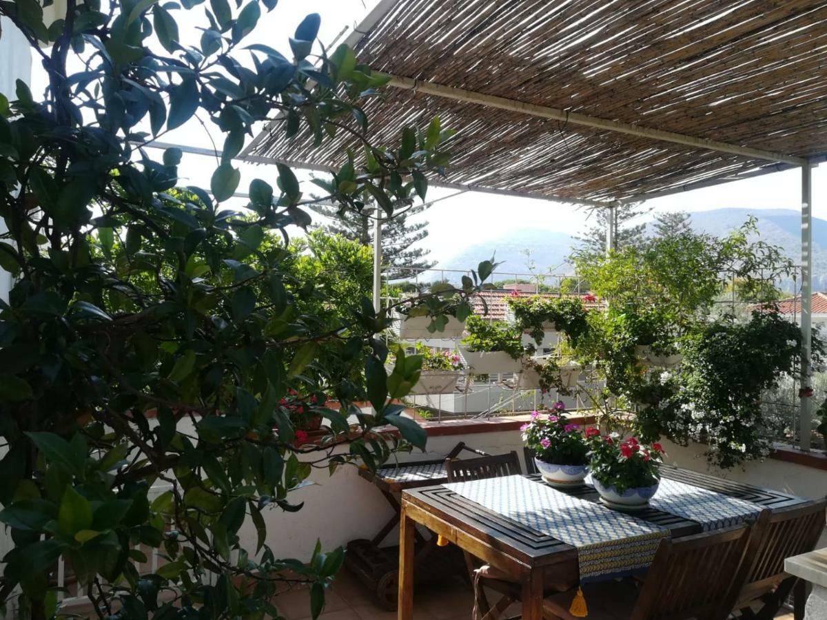 La Stanza Di Angi A Mondello Hotel Палермо Екстериор снимка